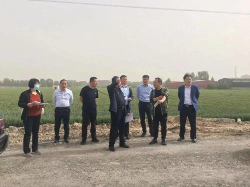 市局督導組赴汶上縣指導設施農業用地上圖入庫工作 科技助力農業現代化